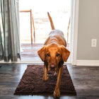 Absorberende Hondenmat CleanPaw | Geschikt Voor Alle Vloeren | Anti-slip Design | Wasmachinebestendig | Vuil- en Wateropvang | Ideaal Tegen Vuile Poten | Duurzame Vezels | Voor Parket Tegels Hout Marmer | Dierenbenodigdheden