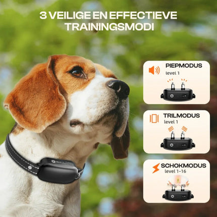 Elektrische Trainingshalsband voor Honden | Verstelbare Schokniveaus | Langeafstandsbediening 1000m | Waterdicht IPX7 | Pieptonen & Vibraties | Lange Batterijduur | Geschikt voor Alle Hondenmaten | Efficiënte en Humane Trainingsoplossing