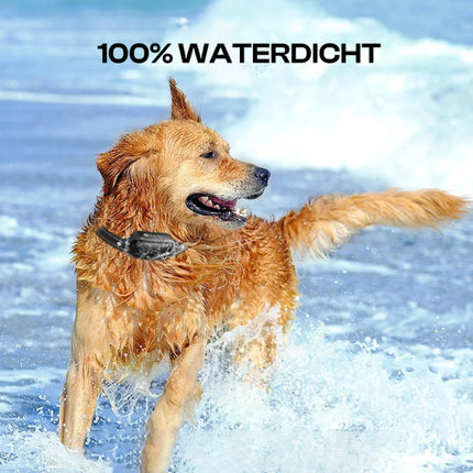 Elektrische Trainingshalsband voor Honden | Verstelbare Schokniveaus | Langeafstandsbediening 1000m | Waterdicht IPX7 | Pieptonen & Vibraties | Lange Batterijduur | Geschikt voor Alle Hondenmaten | Efficiënte en Humane Trainingsoplossing