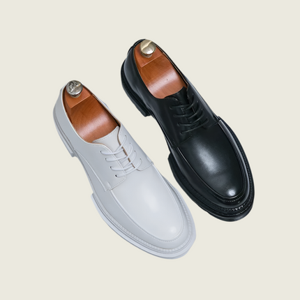 VanBeren Heren Schoenen | Oxford Stijl Luxe | Leren Business Schoenen | Formeel & Elegant | Microfiber PU-Voering | Rubberen Zool | Vetersluiting | Tijdloos Design | Voor Lente & Herfst
