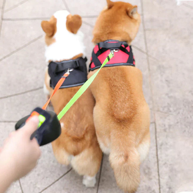 DuoPaw Reflecterende Hondenriem Knoopvrij 360° | Ingebouwde Zaklamp | Intrekbaar 3m | Voor 2 Honden Tot 30kg | Dubbele Bediening