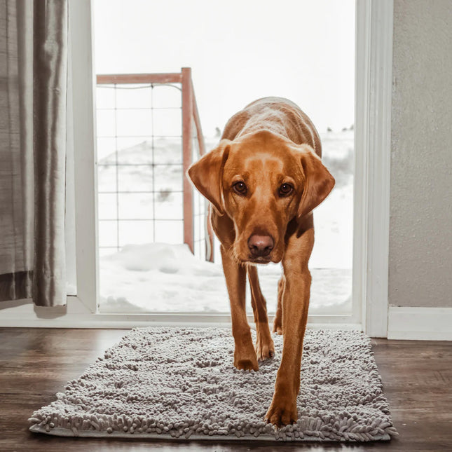 Absorberende Hondenmat CleanPaw | Geschikt Voor Alle Vloeren | Anti-slip Design | Wasmachinebestendig | Vuil- en Wateropvang | Ideaal Tegen Vuile Poten | Duurzame Vezels | Voor Parket Tegels Hout Marmer | Dierenbenodigdheden