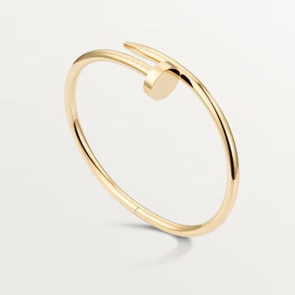 Rion | Luxe Spijkerarmband | Minimalistisch en Stoer Design | Hoogwaardige Materialen | Industrieel Geïnspireerd Sieraad voor Unieke Stijl