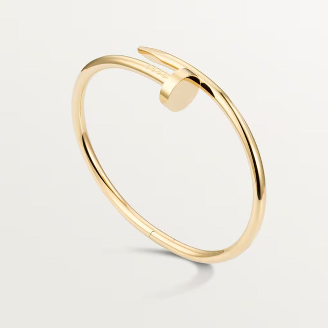 Rion | Luxe Spijkerarmband | Minimalistisch en Stoer Design | Hoogwaardige Materialen | Industrieel Geïnspireerd Sieraad voor Unieke Stijl