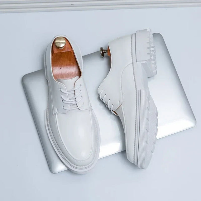 VanBeren Heren Schoenen | Oxford Stijl Luxe | Leren Business Schoenen | Formeel & Elegant | Microfiber PU-Voering | Rubberen Zool | Vetersluiting | Tijdloos Design | Voor Lente & Herfst