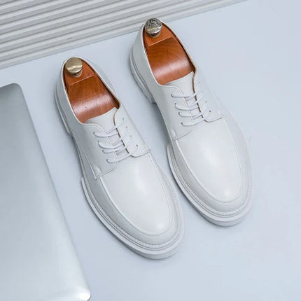 VanBeren Heren Schoenen | Oxford Stijl Luxe | Leren Business Schoenen | Formeel & Elegant | Microfiber PU-Voering | Rubberen Zool | Vetersluiting | Tijdloos Design | Voor Lente & Herfst