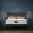 Springmatras, Koudschuim Dubbel Matras, met Veren Kern & Gewatteerde Microvezel Hoes, Ideaal voor Buikslapers, Hoogte 25cm | Lazyspace Springmatras voor koude schuim | Dubbel matras 160x200 cm | Comfortabel & Allergievriendelijk