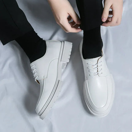 VanBeren Heren Schoenen | Oxford Stijl Luxe | Leren Business Schoenen | Formeel & Elegant | Microfiber PU-Voering | Rubberen Zool | Vetersluiting | Tijdloos Design | Voor Lente & Herfst